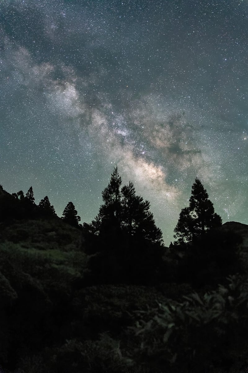Time Traveler in Milky Way